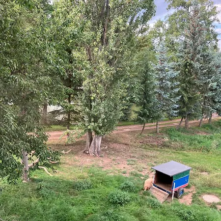 Doppelzimmer & Vom Friesenhof Wieratal