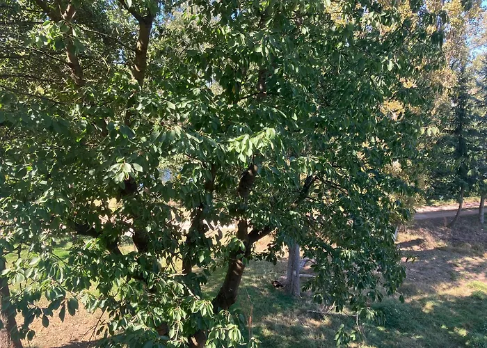 Doppelzimmer & Vom Friesenhof Wieratal Konukevi