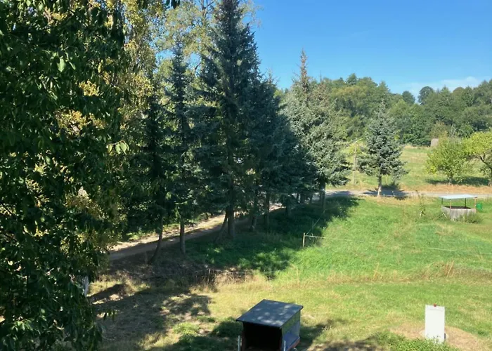 Konukevi Doppelzimmer & Vom Friesenhof Wieratal 4*