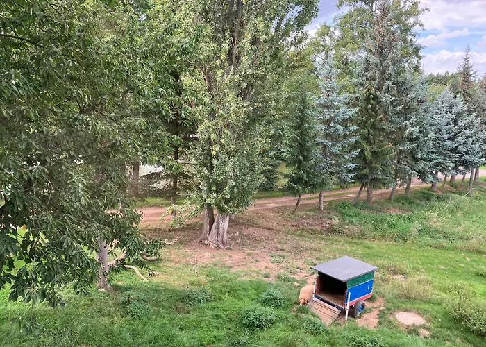 Doppelzimmer & Vom Friesenhof Wieratal